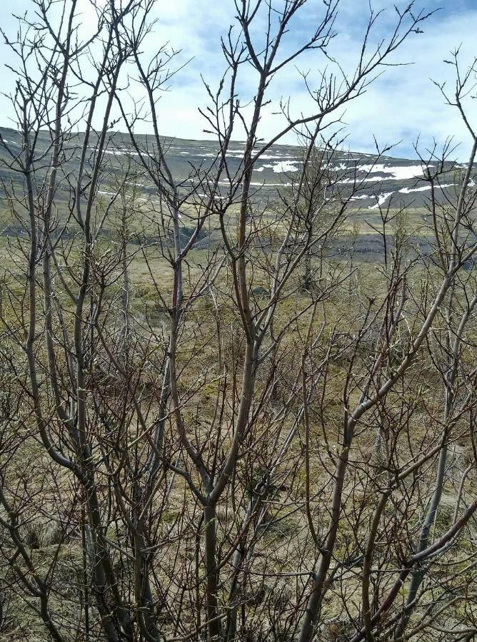 Hagi 2 Road 62 Nr 1 Holiday home Hagi (Vestfirdir)