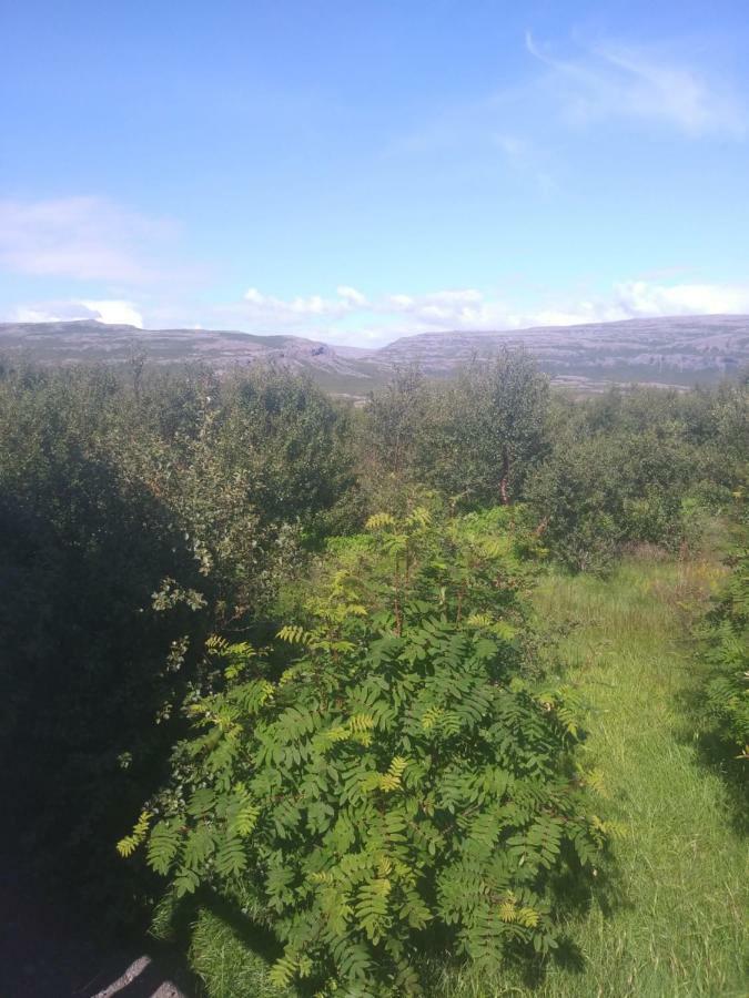Hagi 2 Road 62 Nr 1 Holiday home *